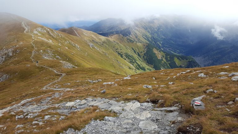 Zakopane od kuchni – apartamenty z własną kuchnią dla smakoszy