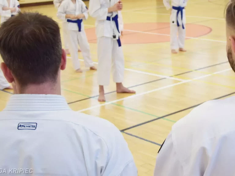 Rozwój, dyscyplina i końskie zdrowie – dlaczego sztuki walki to najlepszy prezent, jaki możesz dać swojemu dziecku?